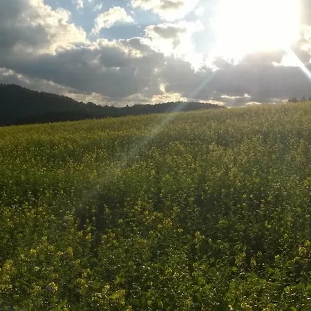Dom wakacyjny Blick In Suedeifel