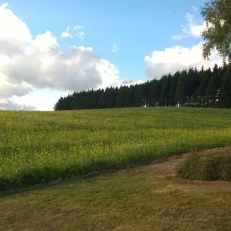 Blick In Suedeifel Dom wakacyjny *