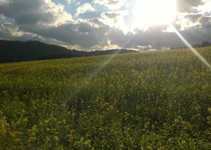 בית נופש Blick In Suedeifel